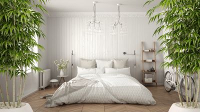 Feng Shui Design